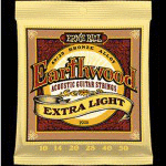 Ernieball Earthwood ACOUSTIC 80/20 BRONZE